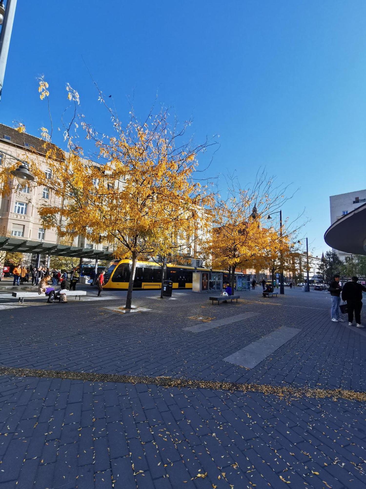 Apartament Krisz Budapesta